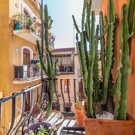 Cascabella * Taormina